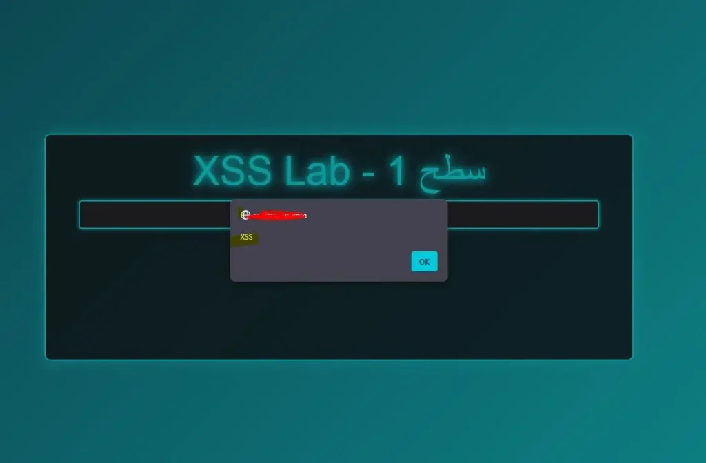 تصویر آسیب پذیری XSS